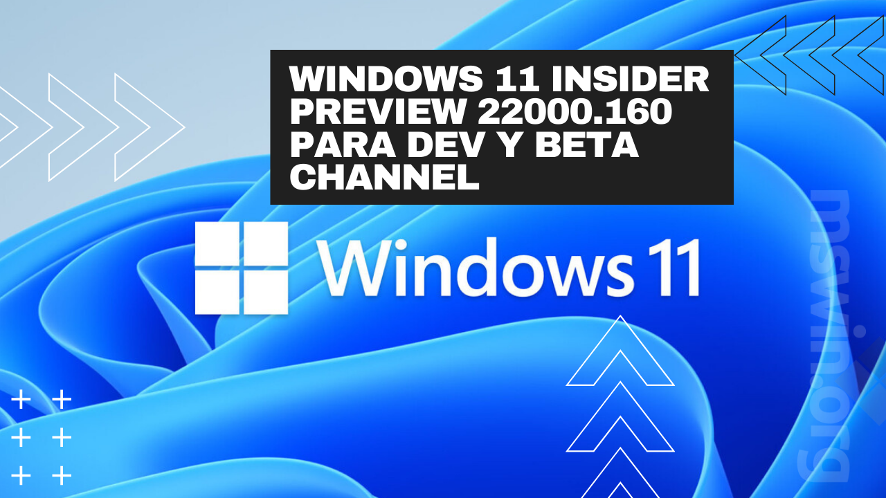 Windows 11 Insider Preview 22000.160 para Dev y Beta Channel
